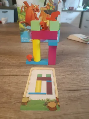 Matériel du jeu Rondins des Bois