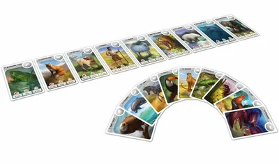 Matériel du jeu Cardline - Animaux