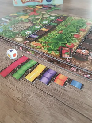 Matériel du jeu Le Rallye des Vers de Terre