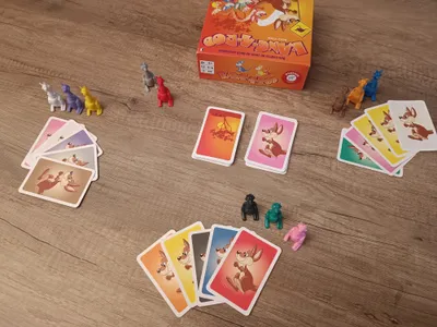 Matériel du jeu Kang-A-Roo