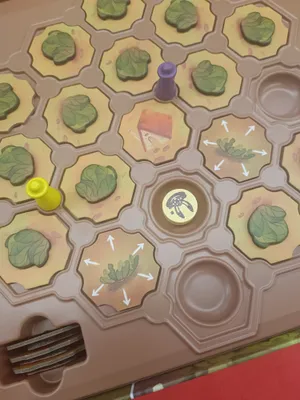 Matériel du jeu Chou y es-tu ?