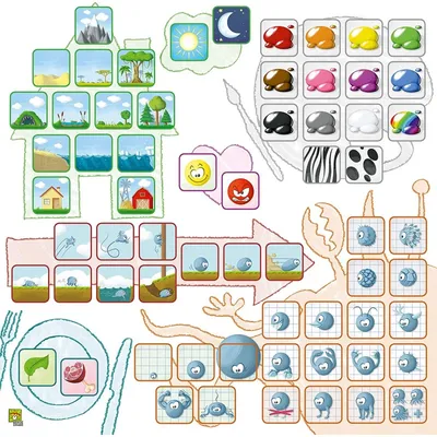 Matériel du jeu Concept - Kids Animaux